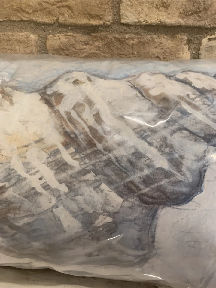 Almohada Pottery Barn Pacific SHELL 16x30" Playa Costera NUEVA Decoración Foto 2 de 2