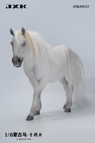 JXK 1/6 Mongolian Horse Model Animal Mongolica Kids Gift Toy Collector Decor - Foto 38 di 74