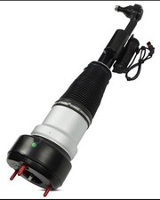 Front Right Air Suspension Strut 2213200538 F...
