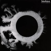The Sky's Gone Out (Reissue) | Bauhaus | Schallplatte | Vinyl / Schallplatte