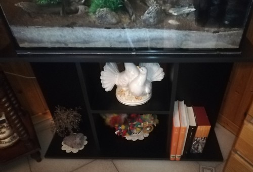 Acquario per acqua dolce usato con mobile dedicato - Foto 3 di 6