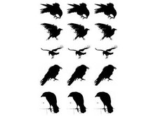 Murder of Crows 15 pcs 1 Inch Black Fused Glass Decals