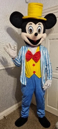 Mickey mouse costume clearance shoes for adults