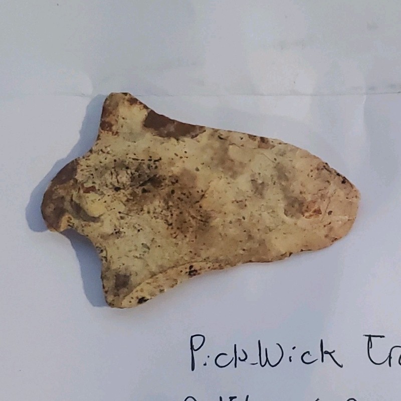 Pickwick translucent arrowhead 2 15/16 x 2 inches native point full no chips