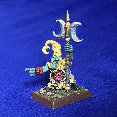 Goblin Schamane Metall sehr gut bemalt Orks & Goblins Warhammer Fantasy (V12)