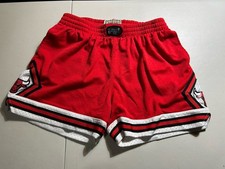 Chicago Bulls Mitchell Ness YOUTH Large 28 Hardwood Classics Swingman Shorts