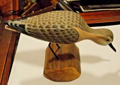 Holz handgeschnitzt & bemalt Ufer Vogel H. V. Shourds 2006 N.J. Schnitzer - Bild 1 von 4