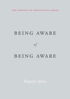 Being Aware Of Being Aware Rupert Spira