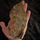 Petrified Wood Slab - Rough Edge Slab, Brown Orange Gray Colors — photo 7