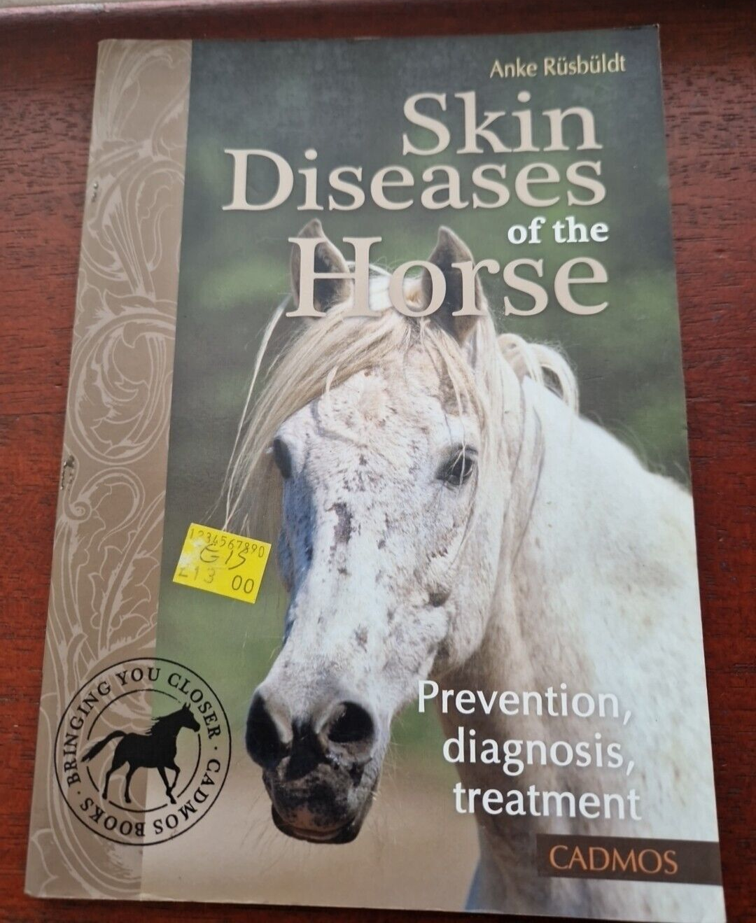 Skin Diseases of the Horse: Prevention, Diagnosis, Treatment by Anke Rusbuldt