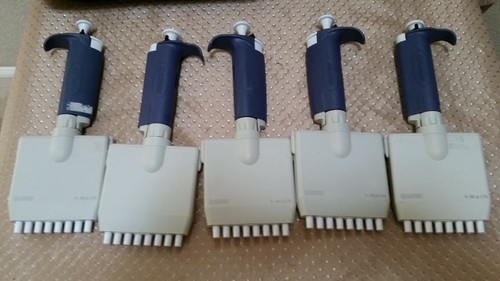 Pipeta One Rainin LTS Pipet-lite 8 canales 5 - 50 uL Gilson Eppendorf probada - Imagen 4 de 7