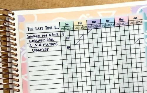 *Last Time I* Schedule Tracker Dashboard Insert 4 use with Erin Condren Planner- - Picture 2 of 6