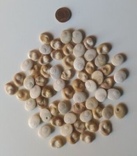 OCCHI DI SANTA LUCIA VENDITA A SCELTA