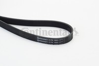 1X Continental Ctam 6PK1893 Keilrippenriemen FüR Ford Opel Vauxhall Saab Toyota