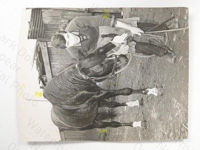 Junger Schmied David Mitchell Schuhpferd Stepney London 1968 Foto Photo