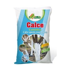 CALCE SPENTA MAGNESIACA 4 KG ALBERI TRONCHI CORRETTIVO ACIDITA' TERRENO