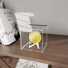 Foto 5 di 7