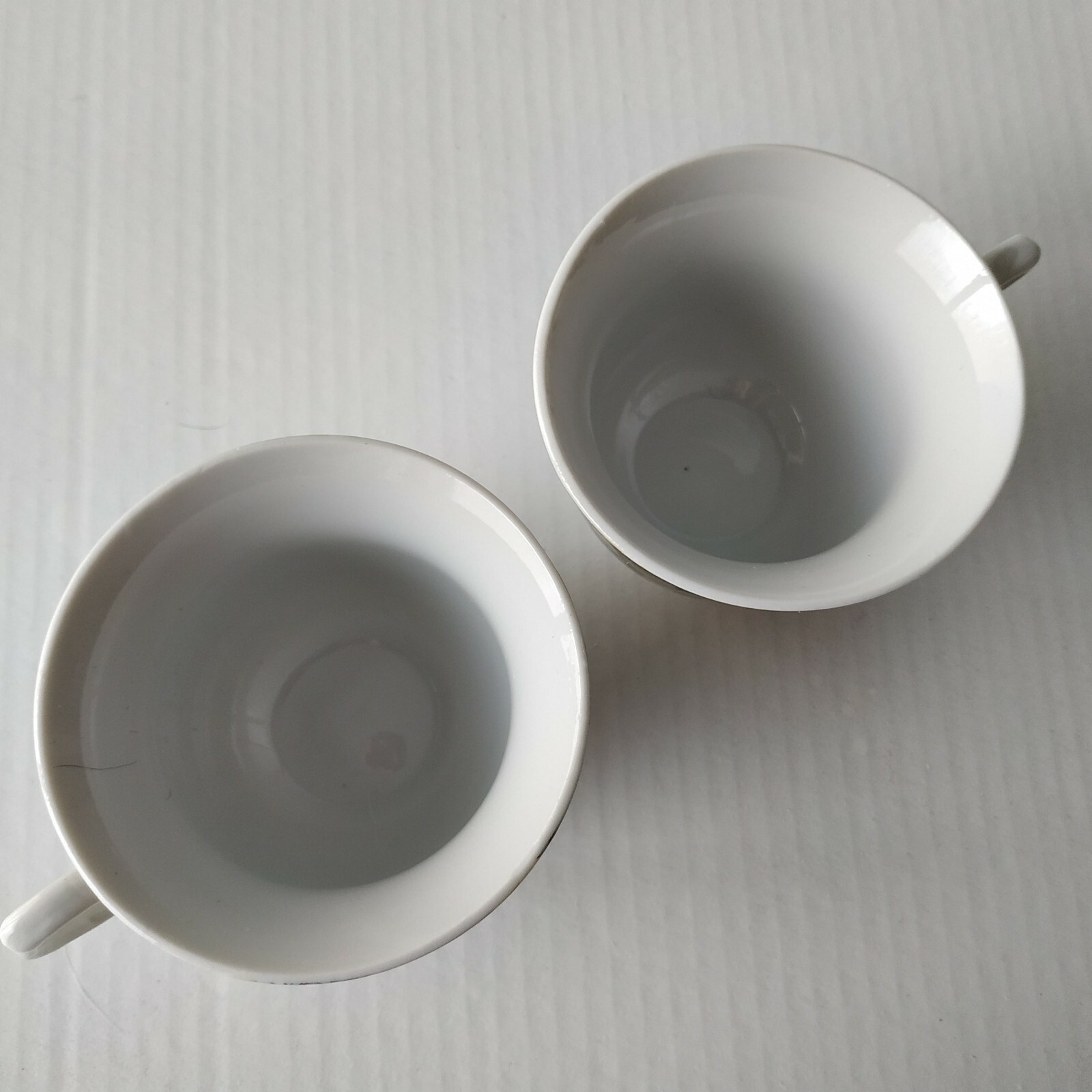 Two Bentleys Tea Cup Aqua Flowers Boho Brown Leaves Tulips