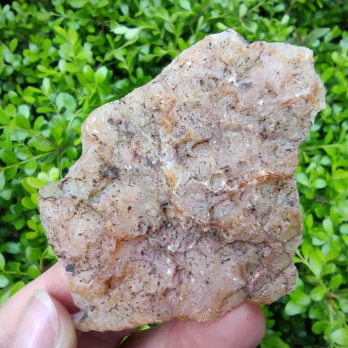 Muestra mineral de forma libre losa de ágata flor de cerezo natural sin pulir 26G 4843 - Imagen 11 de 12