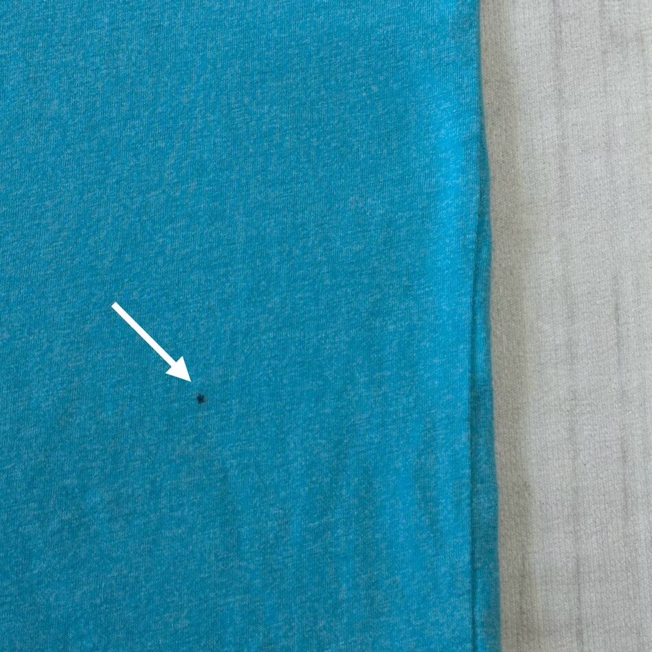 Picture 5 of 5