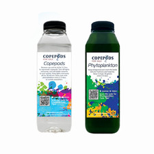 16oz Freshwater Copepods Phytoplankton Blend - Free Fast Shipping