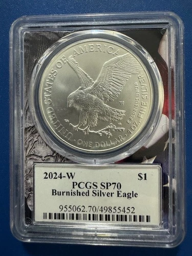 2024-W American Silver Eagle — photo from the most recent tracked eBay sale