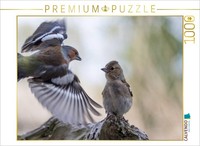 Calvendo Puzzle A Young Chaffinch Is Waiting For Food | 1000 Pieces, Finished Si