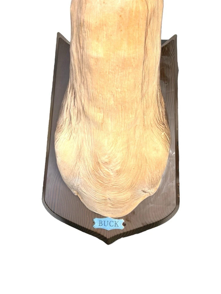 Cabeza de ciervo cantando y hablando Gemmy "Buck The Animated Trophy" de colección ver descripción Foto 3 de 4