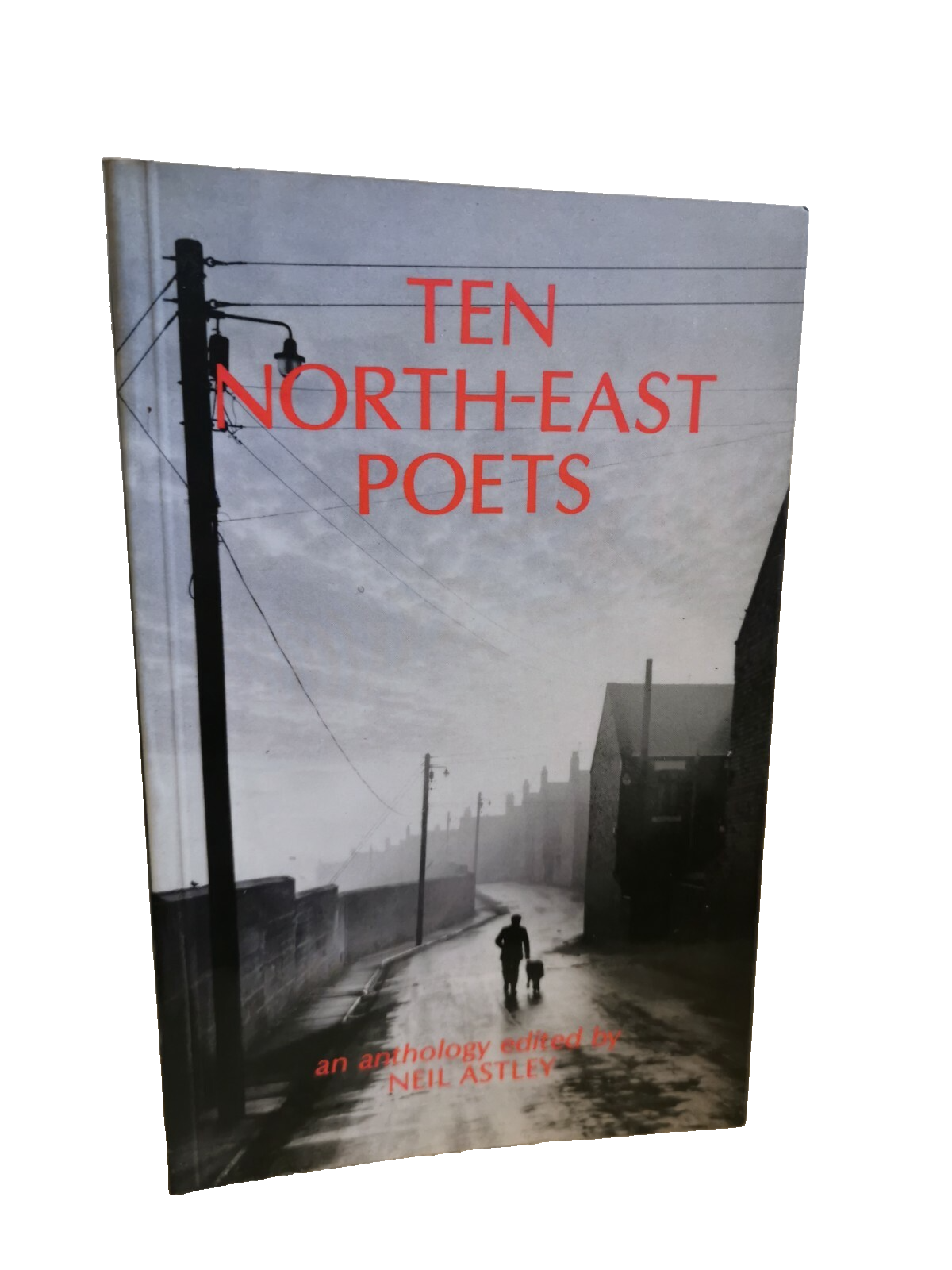 Ten North - East Poets - 1980