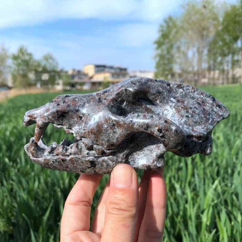 Calavera de cristal tallada a mano de cuarzo piedra llama natural 400 g Reiki.XK3432 - Imagen 15 de 16