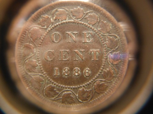 1886 Large One Cent - Obverse # 2 ***** VF - Picture 2 of 14
