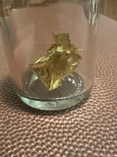 university of notre dame . Regilding Gold From Dome. Summer 2023 .