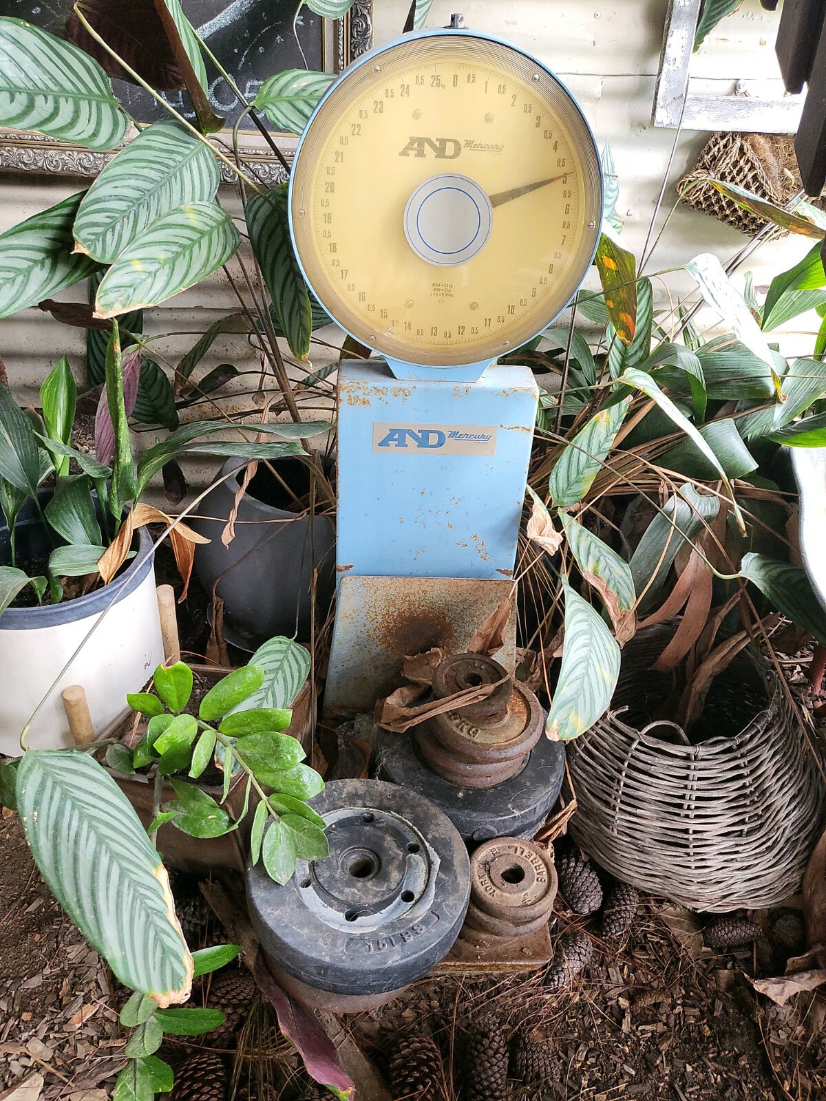 Antique luggage scales eBay