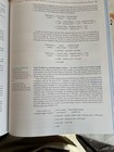 Foto 19 di 19