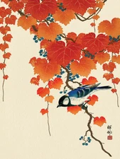 Ohara Koson - Bird and Red Ivy - 30 x 40cm Stretched Canvas Print Wall Art