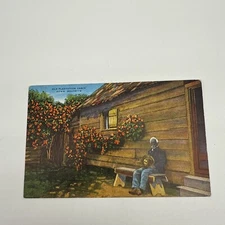 Vintage Old Plantation Cabin Down South Postcard