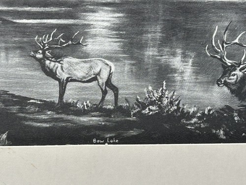 June Mickle Bow Lake Art Print Black & White 1974 10"x8" Print Size - Picture 2 of 5