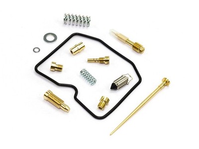 Vergaser Reparatur Satz CAB-DS04 für Suzuki LT-A 400 Kingquad LT-A400 2008-2010