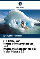 Sipho Johnson Tibane | Die Rolle Von Informationssystemen Und...
