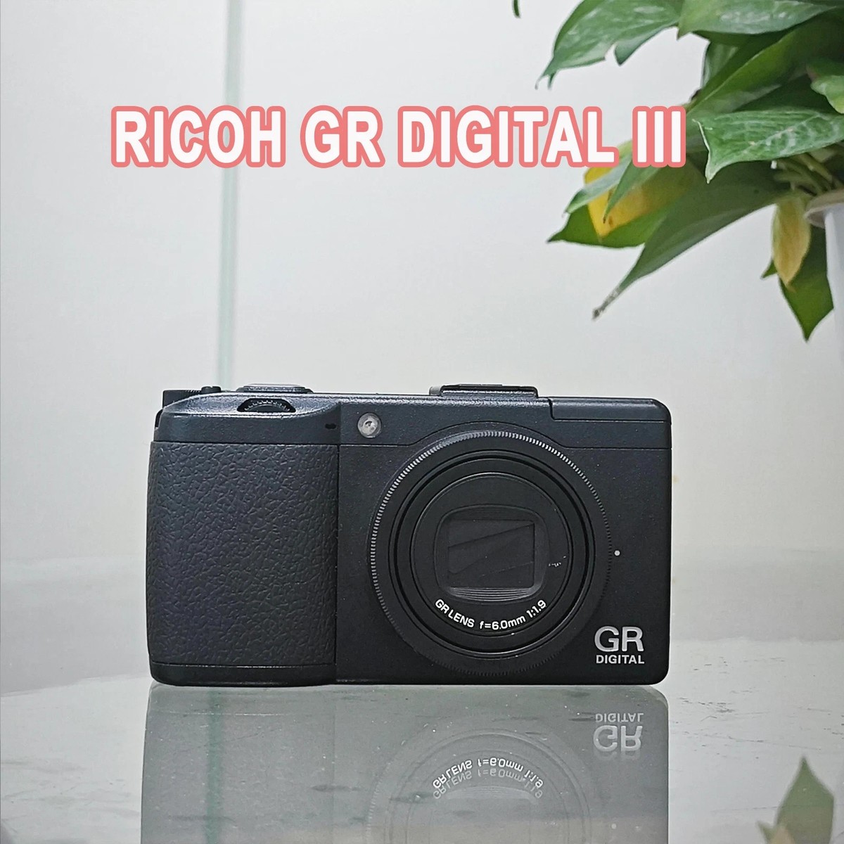 RICOH GR DIGITAL III 3 Digital Camera W/10.0 Megapixel CCD Sensor