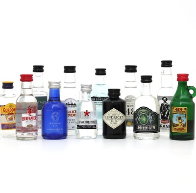 Großes GIN TASTING SET - Probierset mit 12 Miniaturen - Bombay Hendricks u.a.