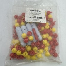 CAROLINA Mitosis and Meloisis Simulation 580122