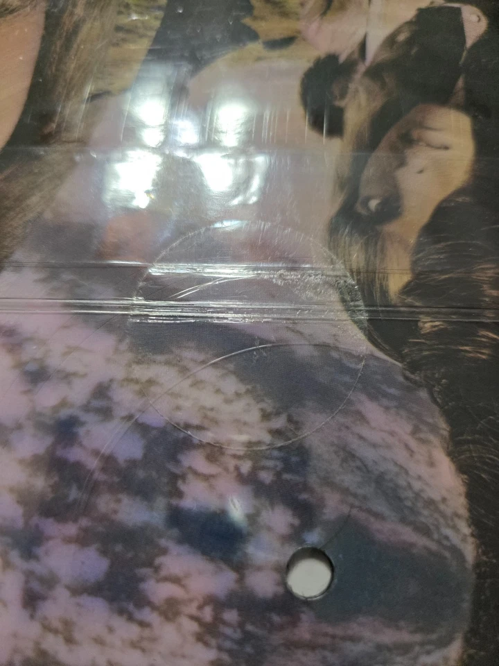 Styx Pieces of Eight Picture Disc #77008 Unplayed/ Sealed Near Mint - Image 3 of 3