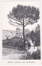 ROME - COLOSSEUM SEEN FROM THE PALATINE - F.TO P. -36008-