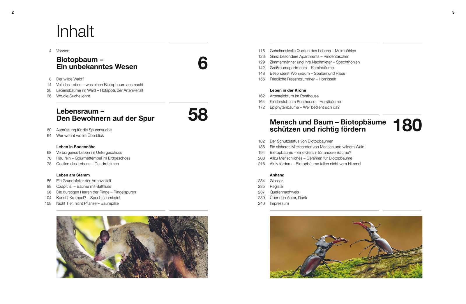 Thumbnail - Lebensraum Baum | Volker Binner | Deutsch | Buch | 240 S. | 2019 | Blv