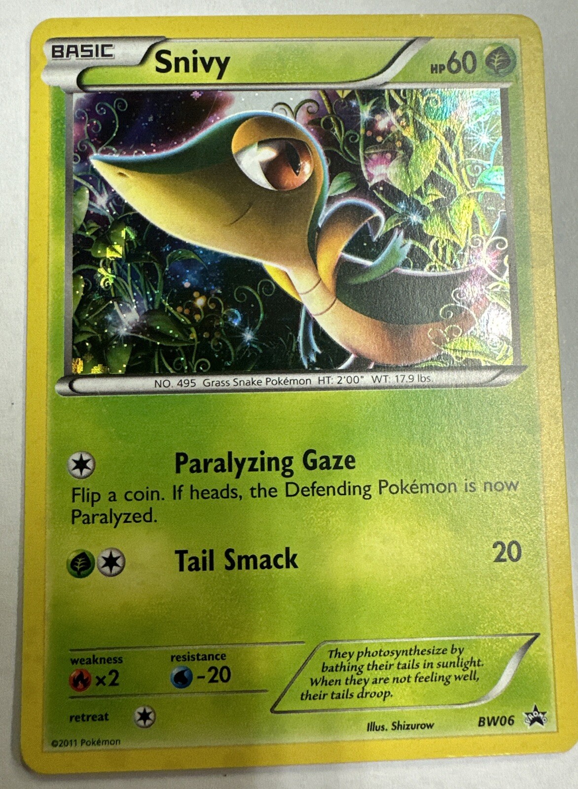 Pokemon Snivy Holo Black Star Promo BW06 Near Mint