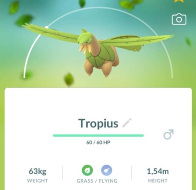   Shiny Tropius -  P T C - 80k stardust  - Description