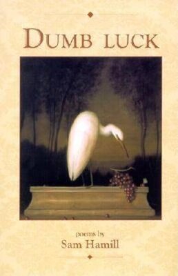 Dumb Luck: Gedichte von Sam Hamill (Taschenbuch, 2002)