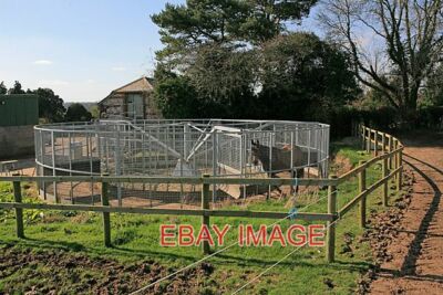 PHOTO  HORSE EXERCISER AT WHELPLEY FARM WELL IT SURE BEATS RIDING 'EM! I ASKED T