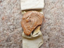 1597 Sutton Coldfield Handsworth Vellum Document Latin and English nice wax seal